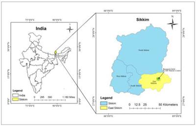 Conservation tillage and diversified cropping enhance system productivity and eco-efficiency and reduce greenhouse gas intensity in organic farming